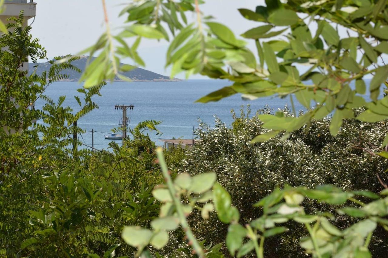 Traditional Summer House In Marmari Marmari  외부 사진